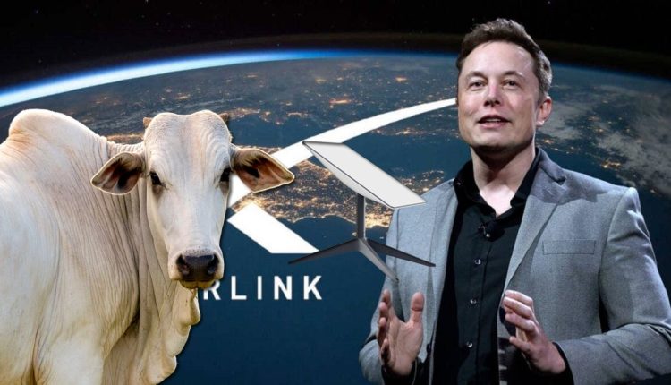 Elon Musk libera internet para produtor