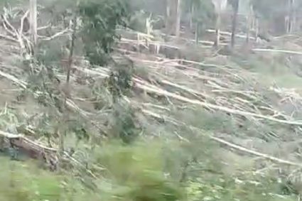 tornado atinge Santa Catarina e provoca destruição