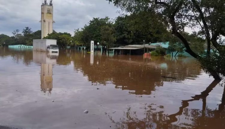 Ceasa paralisa atividades em Porto Alegre devido à enchente