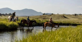 Fazenda mostra criação de gado aliado a vida selvagem