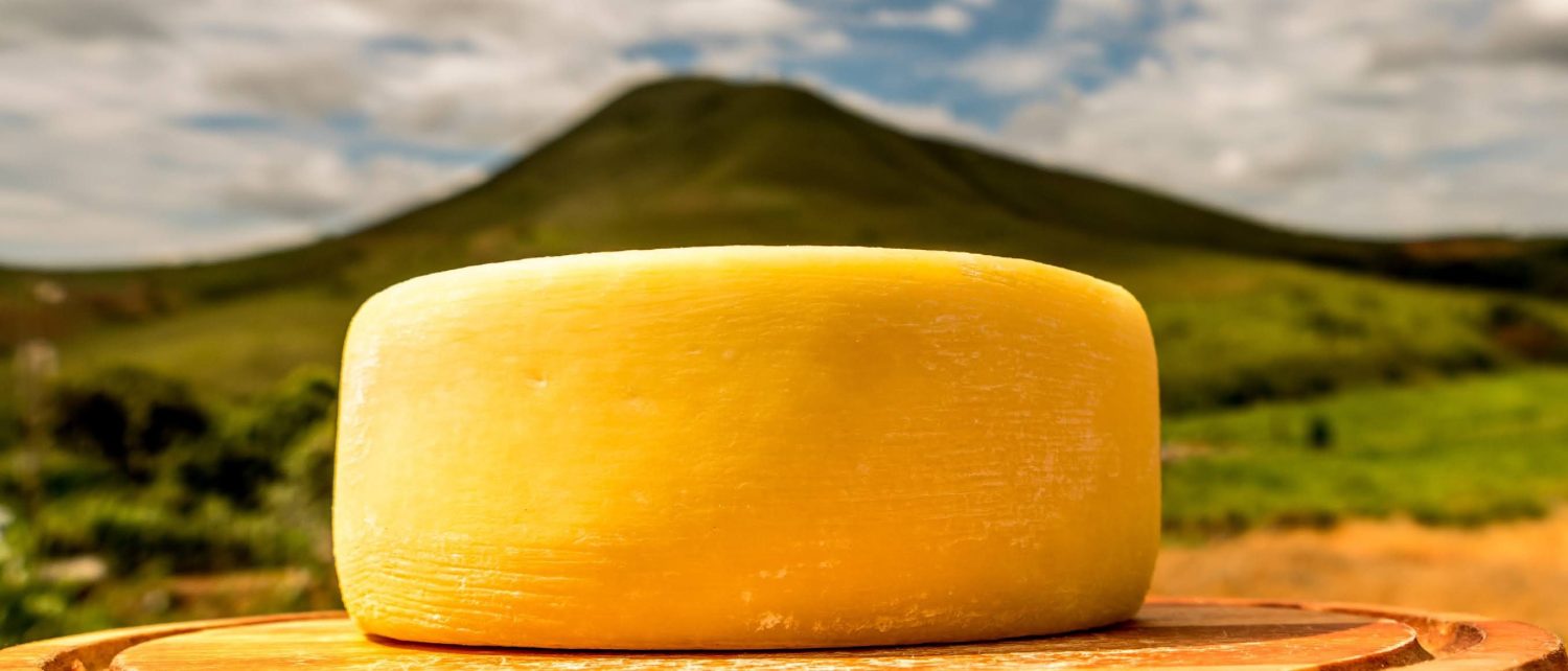 Minas no Agro: Minas Gerais brilha com os melhores azeites e queijos do país