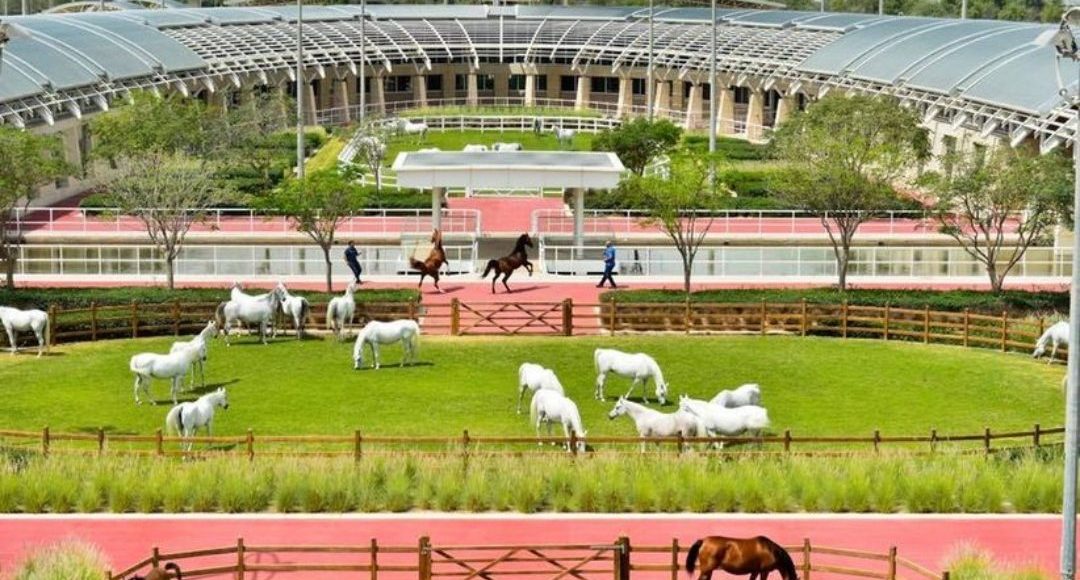 maior haras do mundo