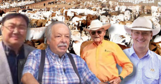 maiores pecuaristas do mundo