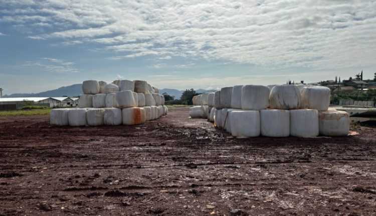 Produtores gaúchos recebem doações de alimentos para os animais