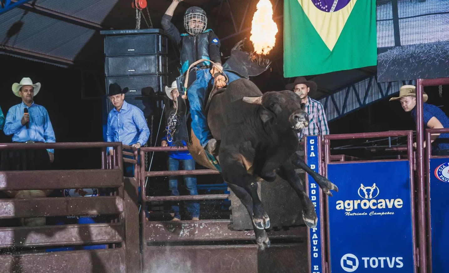Cia Paulo Emilio oferta em leilao genetica jamais vista no segmento