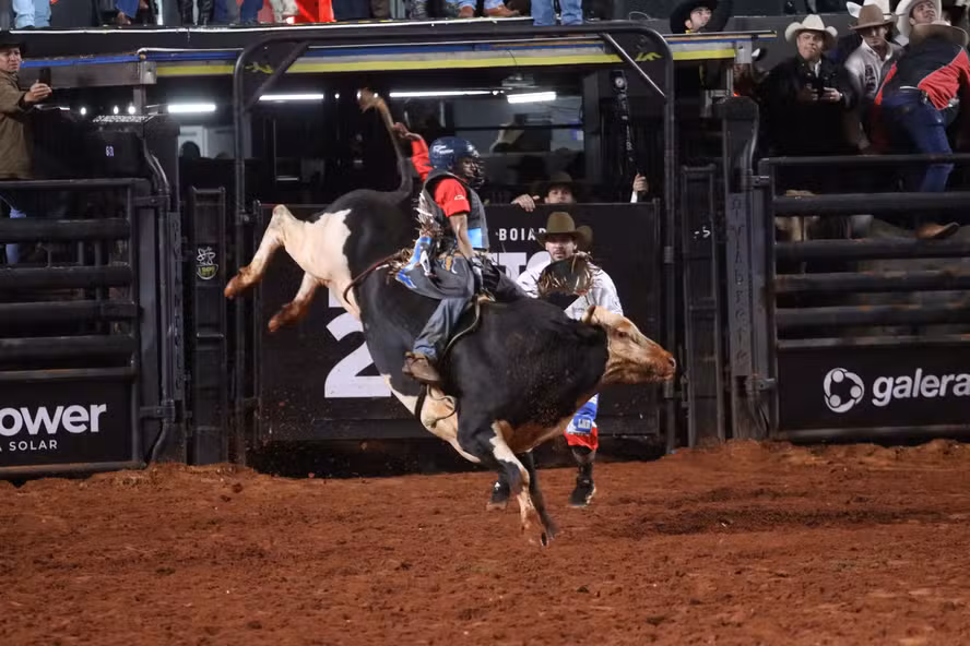 touro de rodeio mais caro do Brasil