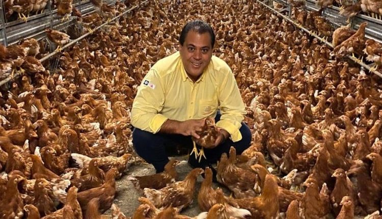 grupo mantiqueira galinhas livres