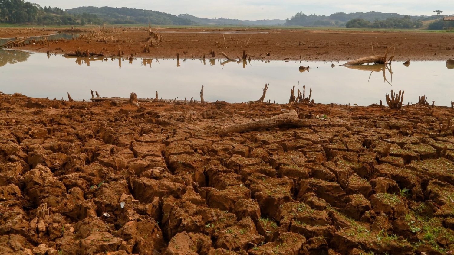 Especialistas discutem melhorias na gestão de risco climático na agricultura 