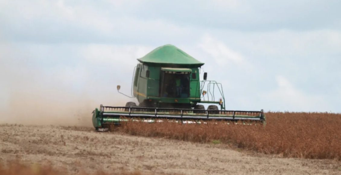 Reputação no agronegócio internacional: é possível mensurar o intangível?
