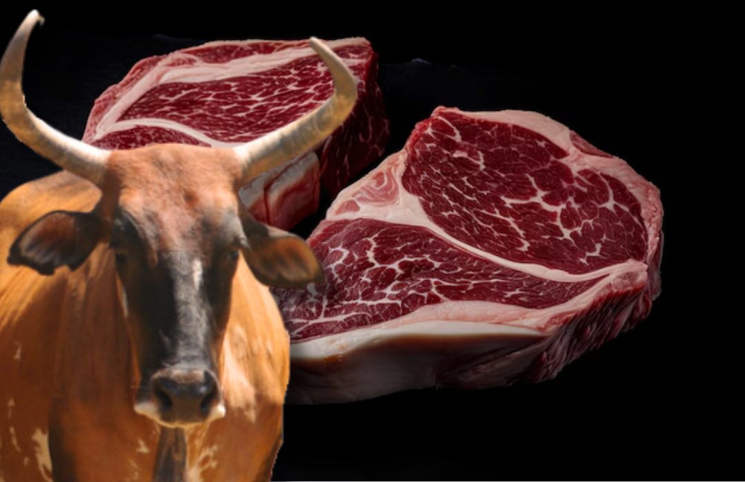 carne de curraleiro pé duro