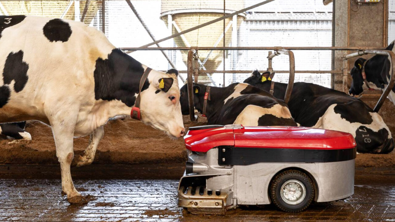 Robô de limpeza para piso de barracão será lançado no Agroleite; veja o vídeo