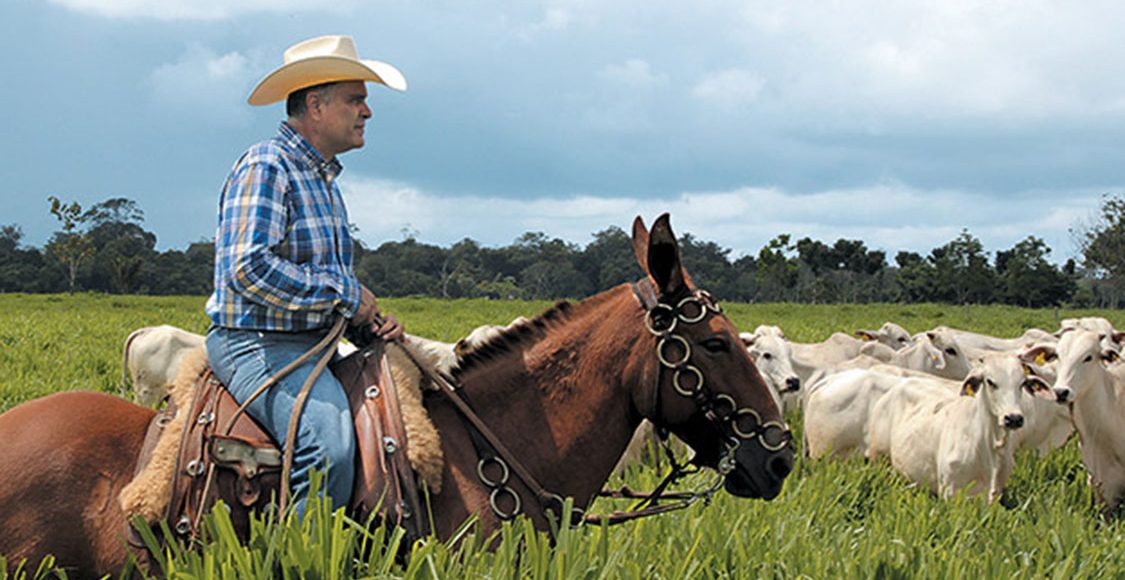 Por que está cada vez mais difícil encontrar mão de obra na pecuária?