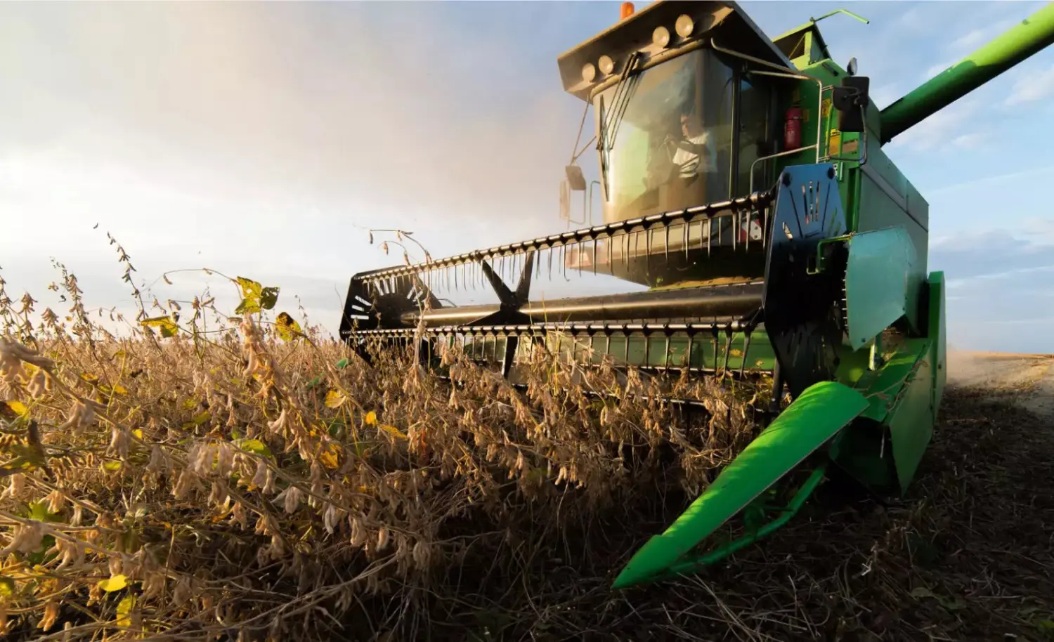 Governo Federal lança Plano Safra 24/25 com R$ 400,59 bilhões para agricultura empresarial