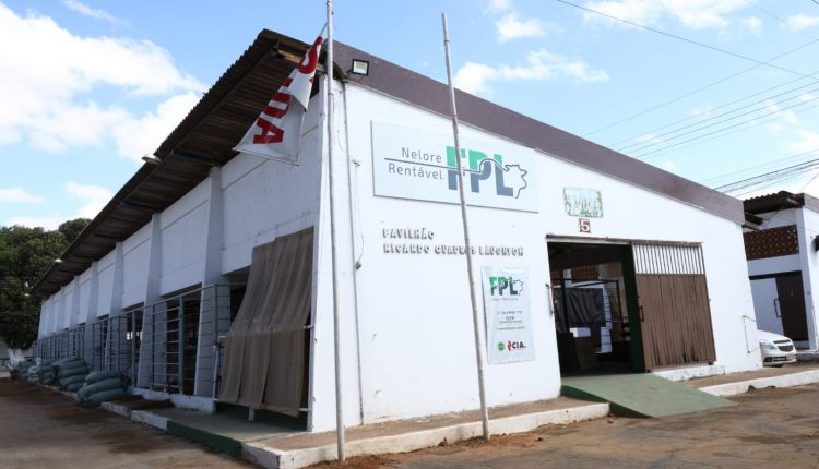 FPL participa pela primeira vez da Expomontes com animais Nelore CEIP