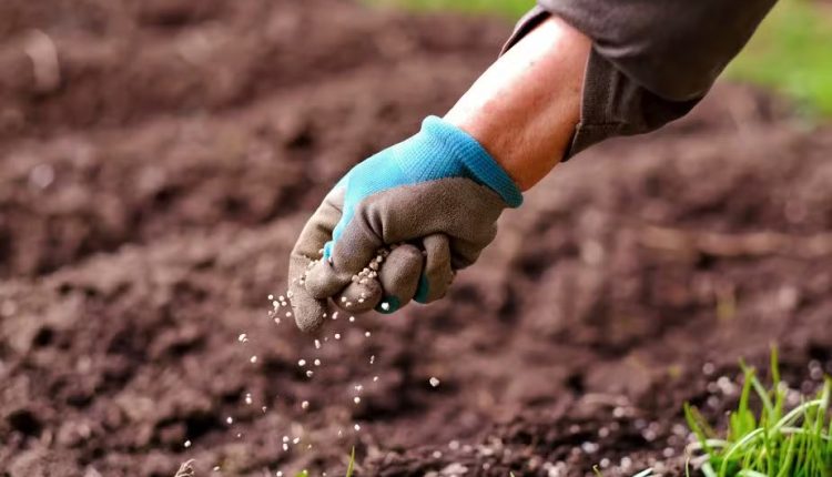 UbyAgro projeta faturamento de R$ 1 bilhão após aquisição