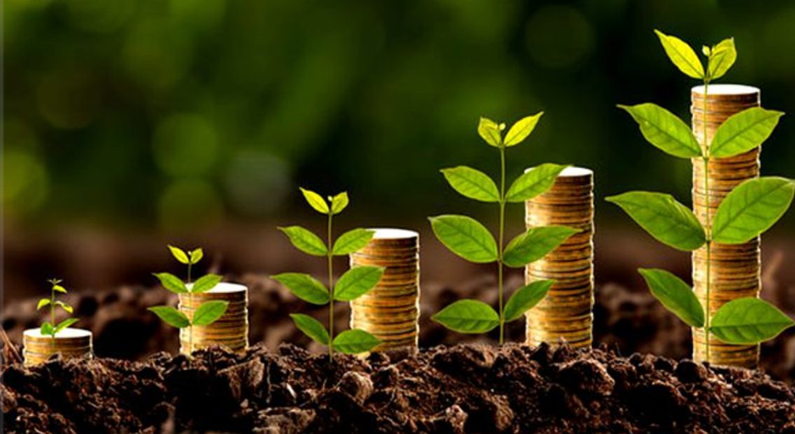 Projeto cria política para incentivar economia compartilhada no campo