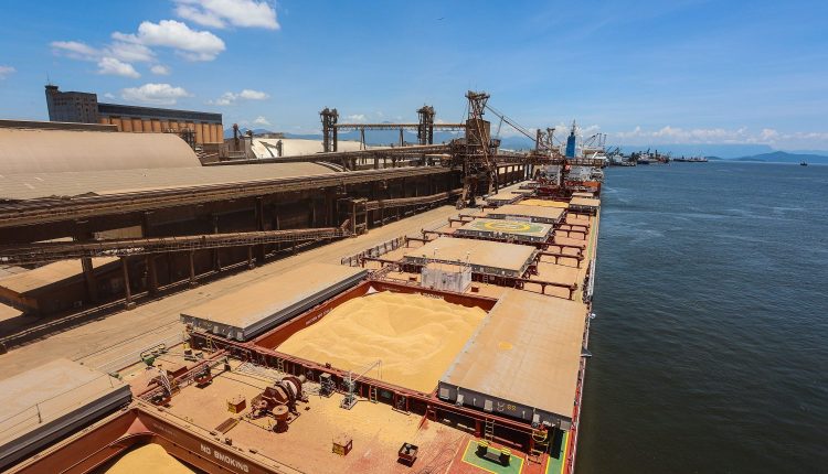 4% a mais: exportações dos portos do Paraná batem 16,8 mil toneladas nos 5 primeiros meses; Soja