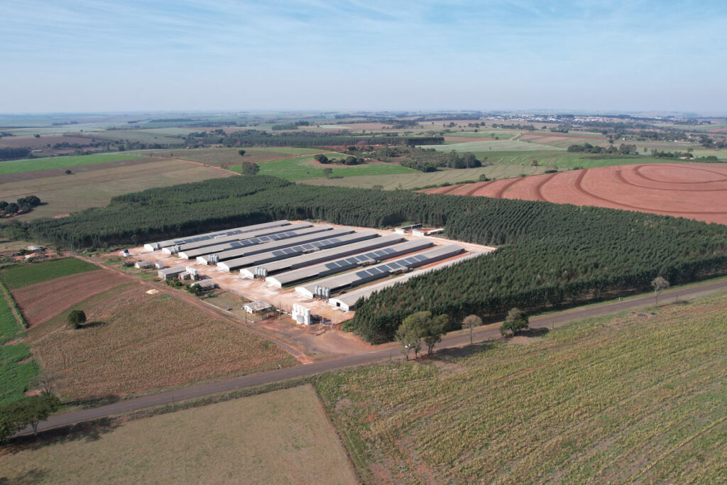 Aviarios em Terra Roxa ficam a menos de 1 km de uma das invasoes indigenas