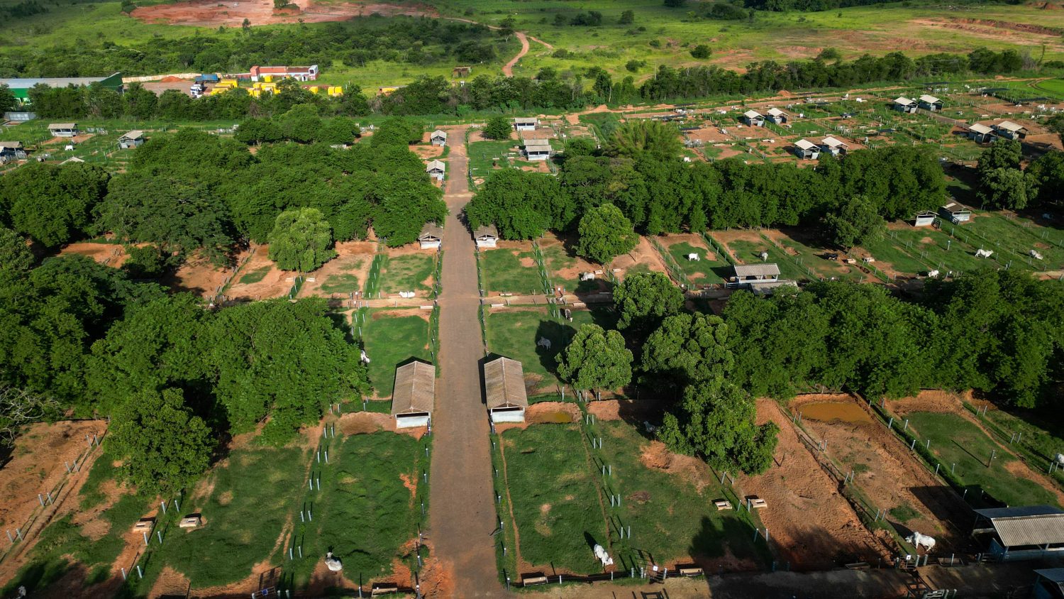 Central Tairana celebra 50 anos com programação especial
