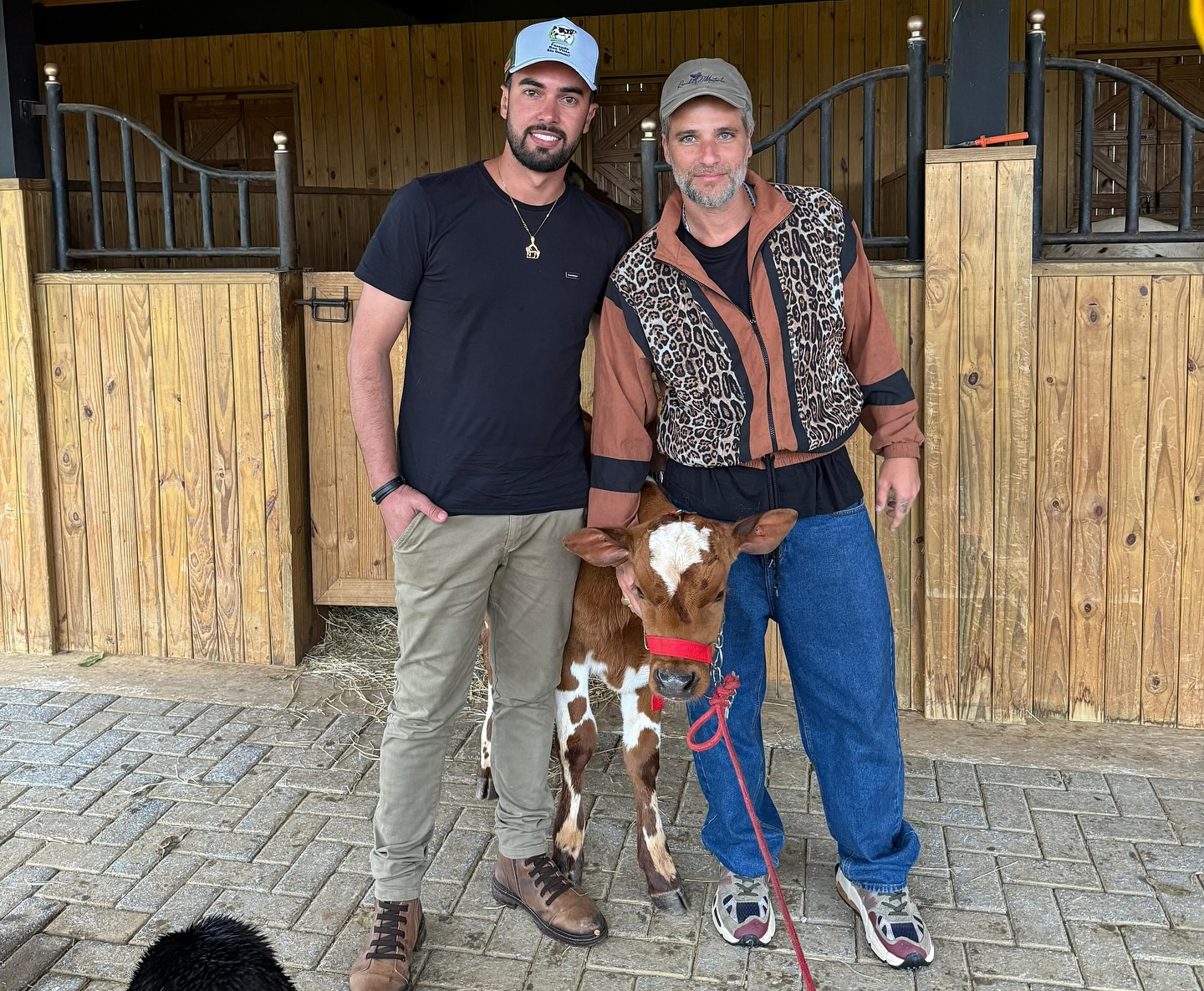 Fabricio-Vieira-e-Bruno-Gagliasso-com-bezerro-holandes-Tobias