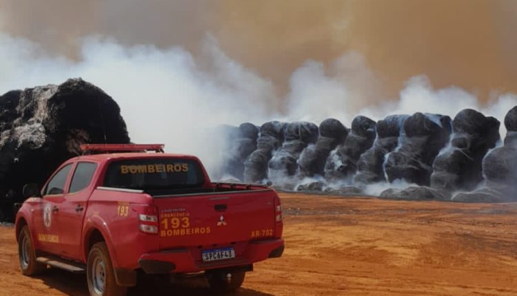 Fogo destruiu cerca de 1,4 mil rolos de algodão em fazenda de Mato Grosso