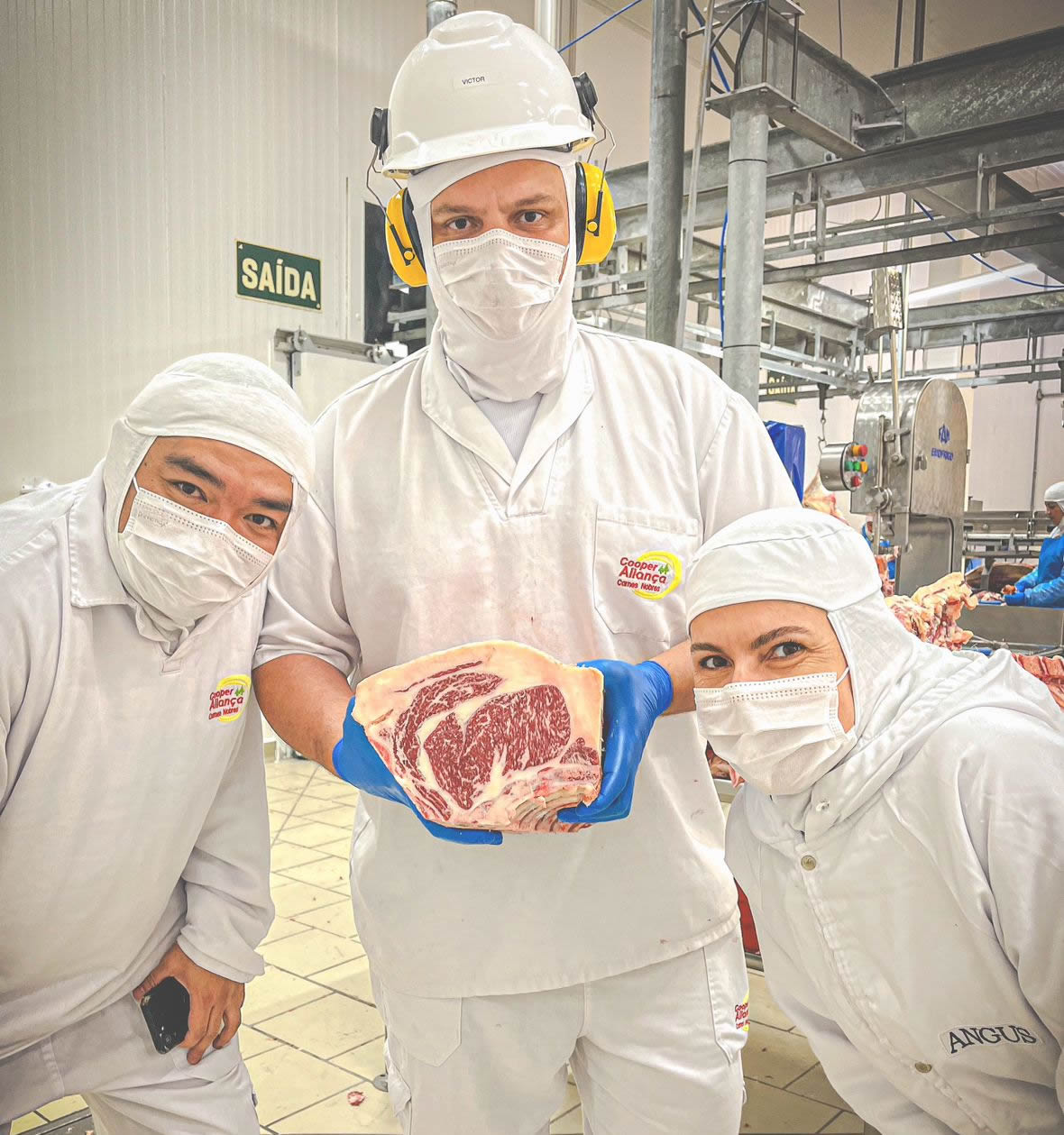 Gabiru pode produzir uma carne de altissima qualidade - angus cooperalianca