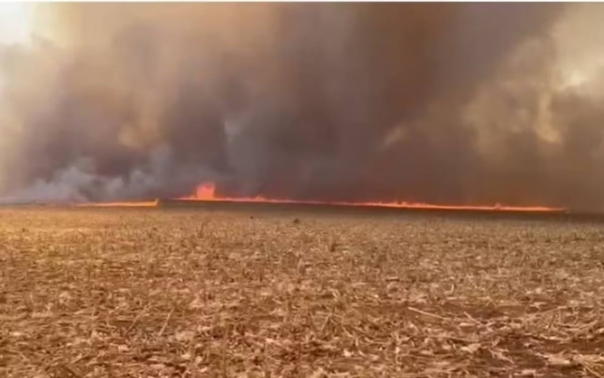 Fazendeiros se unem com aviões e caminhões para combater incêndio gigante