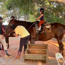 Prática terapêutica utiliza cavalo para incluir e transformar vidas