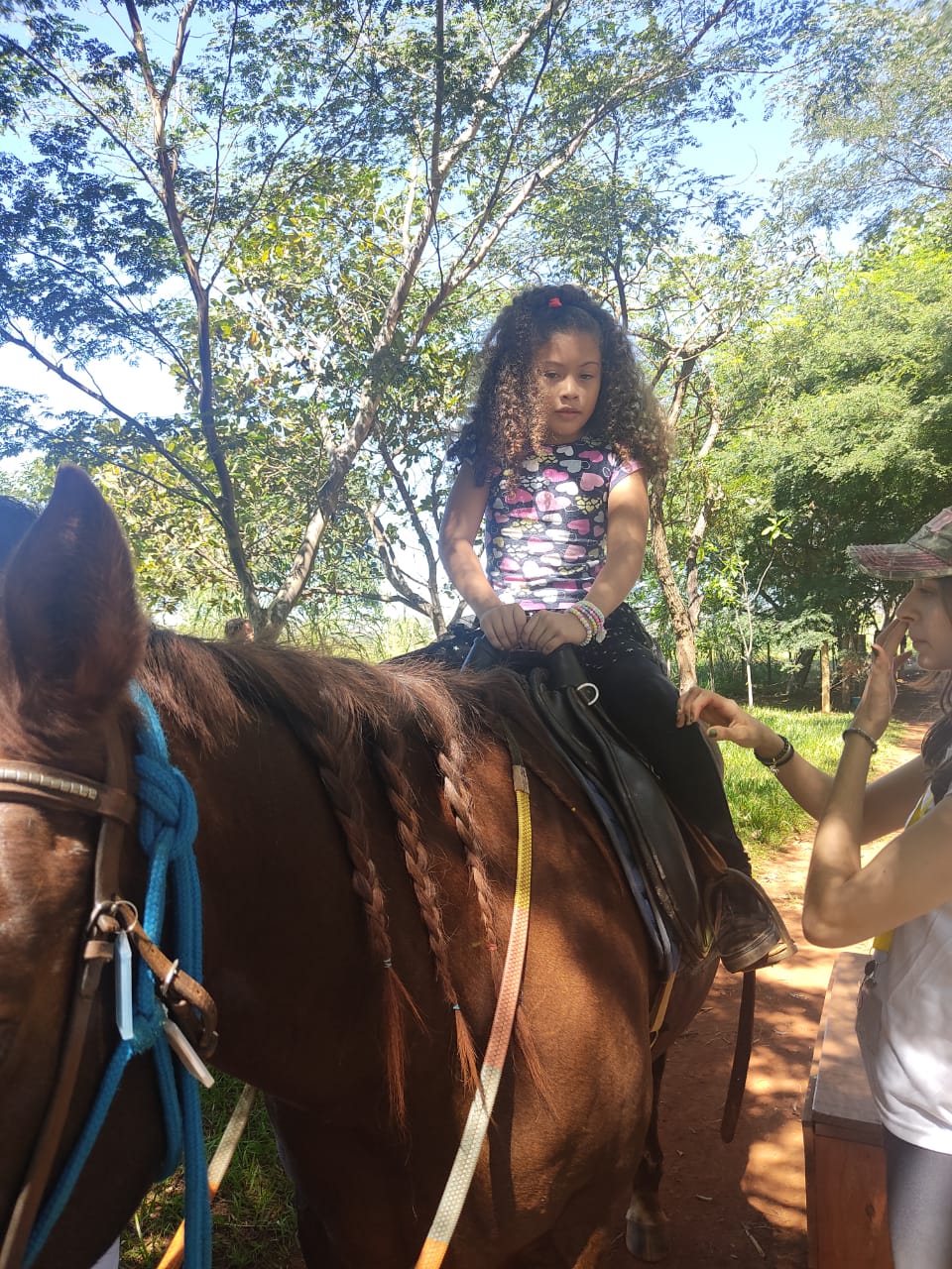 Prática terapêutica utiliza cavalo para incluir e transformar vidas