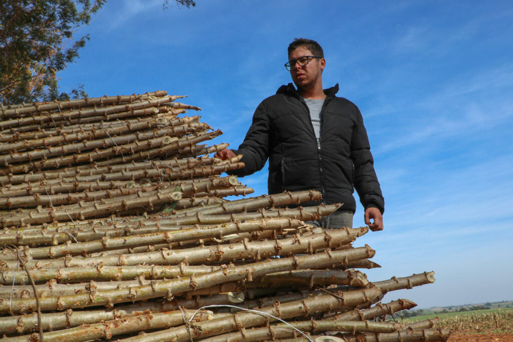 O produtor rural Osmar Joaquim Junior esta inseguro para fazer novos investimentos em sua propriedade - em Terra Roxa