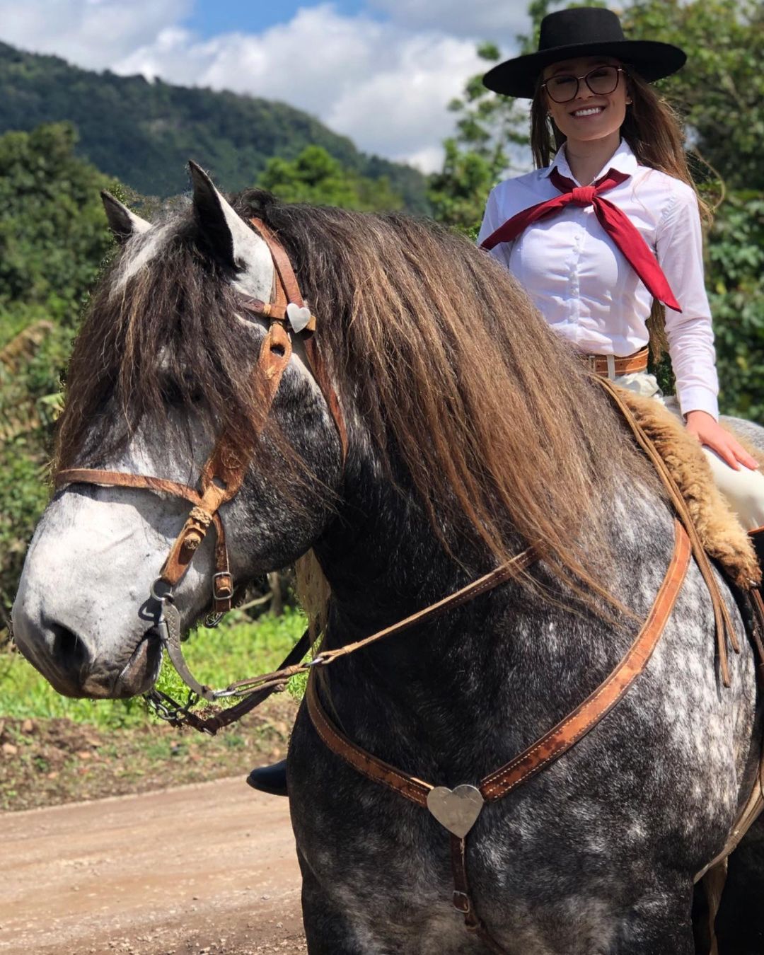 Grande Campeão da raça Percheron