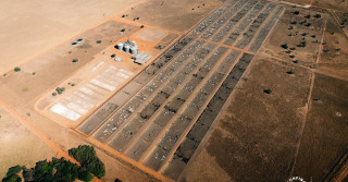 Nova Piratininga - maior fazenda do Brasil
