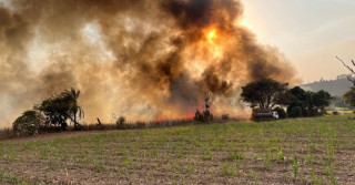Faesp mobiliza ações para avaliar e mitigar danos dos incêndios em propriedades rurais em SP