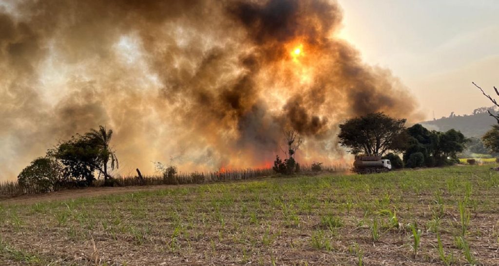 Faesp mobiliza ações para avaliar e mitigar danos dos incêndios em propriedades rurais em SP