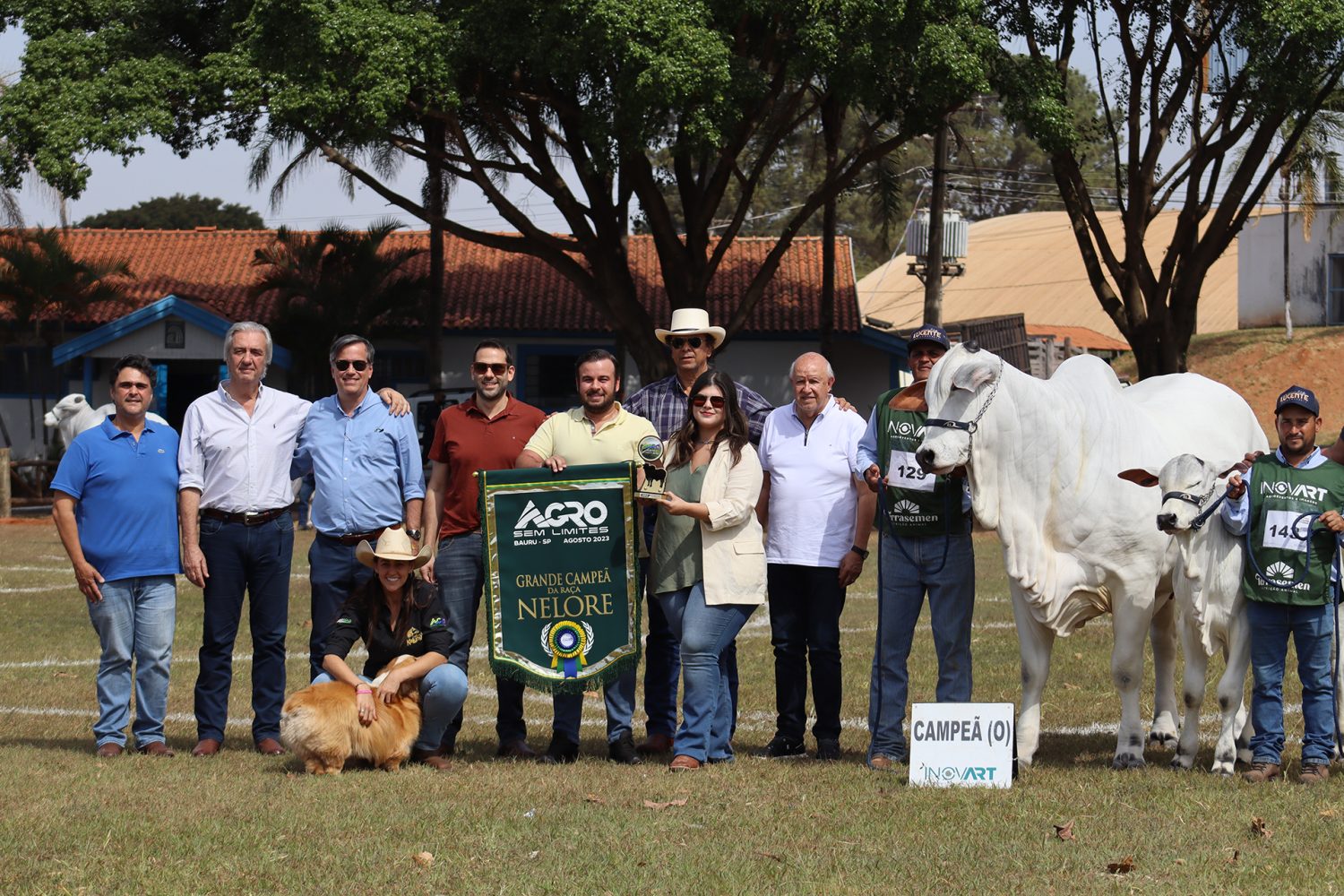 agro sem limites - feira agronegocio bauru -nelore