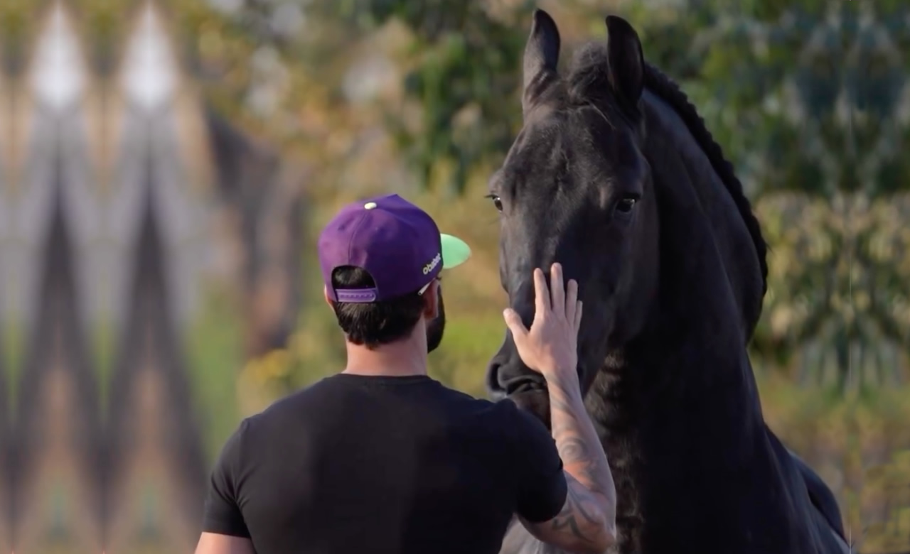 gusttavo lima embaixador com cavalos haras friesan