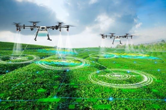 Drones na Agricultura: Como eles estão transformando o campo