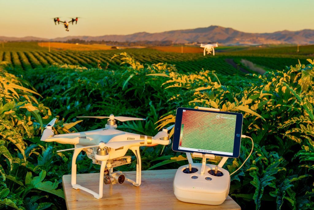 Drones na Agricultura: Como eles estão transformando o campo