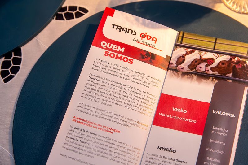 Líder mundial na produção de embriões bovinos