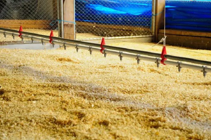 Cama de aves impulsiona a produção de fertilizantes organominerais