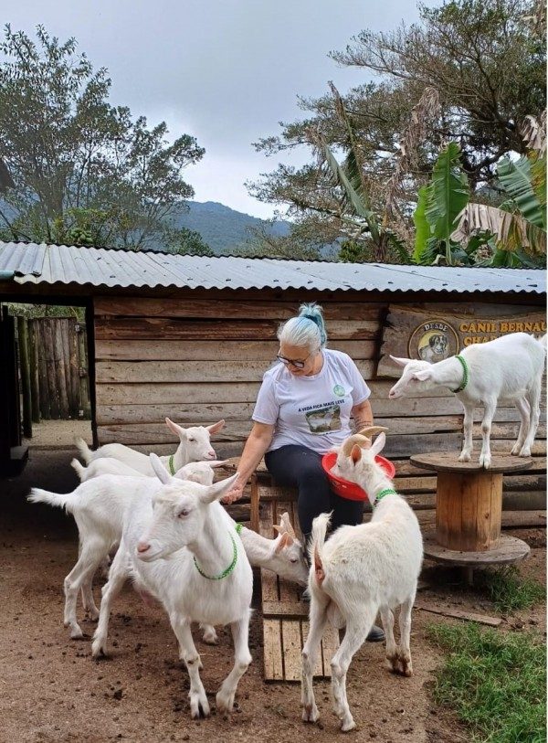 Conheça as novas raças na edição Expointer 2024