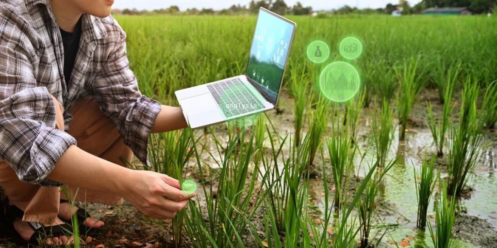 7 profissões para quem quer trabalhar no campo