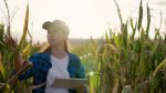 As profissões que vão bombar no Agro em 2026