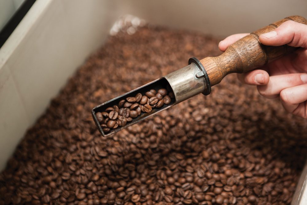 Descubra os tipos de café e as diferenças entre eles?