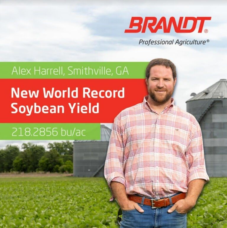 Agricultor produz 244,67 scs/ha de soja e quebra o próprio recorde