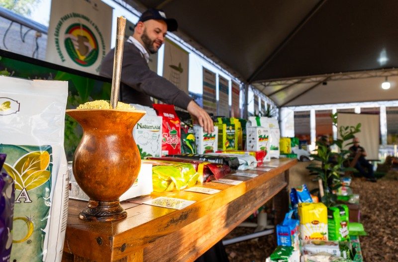 Na Expointer, Emater exibe mais de 100 produtos de erva-mate dos polos ervateiros do RS