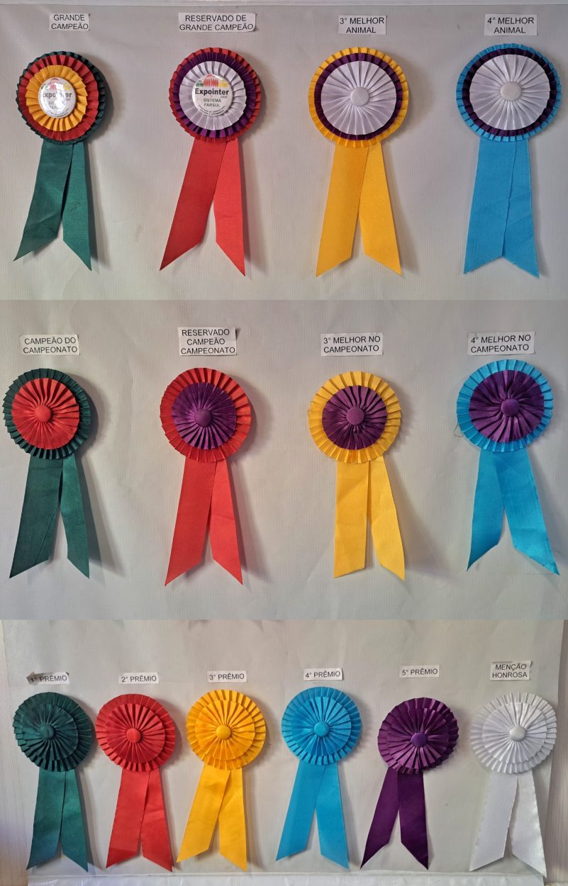 Rosetas do grande campeonato - Foto: Fernando Dias 