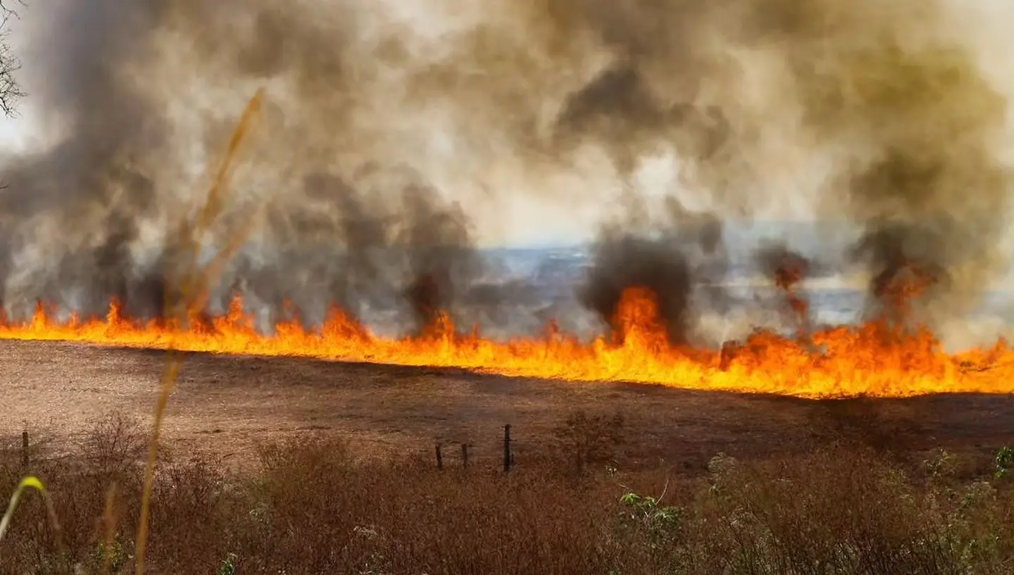 incendios no estado de sao paulo