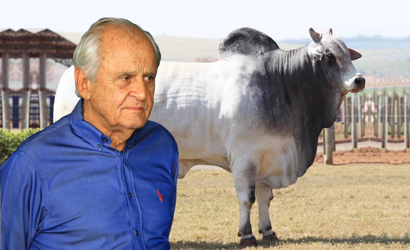 racador touro Nelore Tule da 2L - grupo adir - adir do carmo leonel