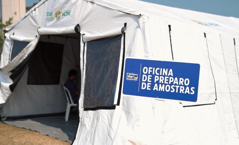 Mapa realiza simulado de febre aftosa no Acre com participação internacional e mais de 180 servidores